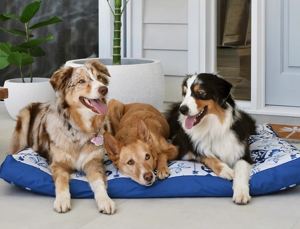 Indie Boho Noosa Nights Outdoor Bed - Gifts for Your Dog