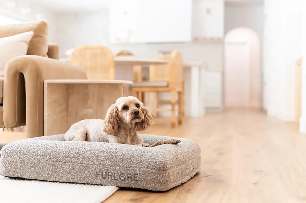 Furlore Luxury Orthopedic Dog Bed
