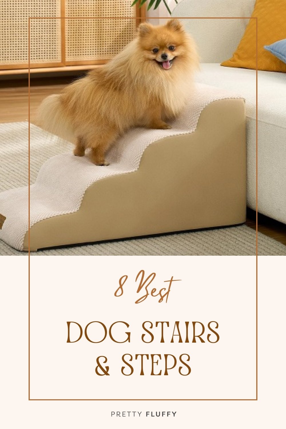 8 Best Dog Stairs & Steps for Beds, Couches, and Cars
