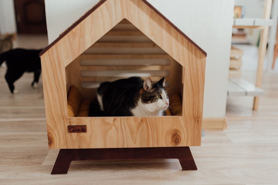 Make a Pet House