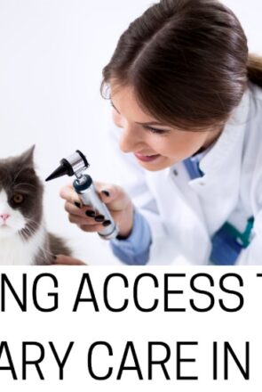 5 Top Veterinary Care Providers In Arvada: A Vet Checklist Included