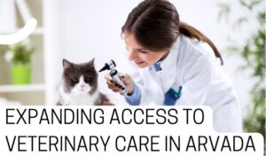 5 Top Veterinary Care Providers In Arvada: A Vet Checklist Included