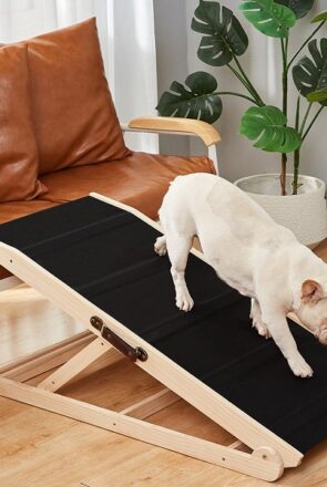 Woohoo Dog Ramp for Bed - the best dog ramps