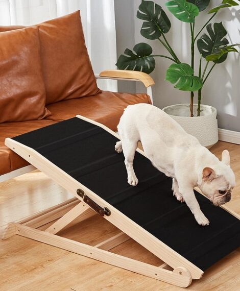 Woohoo Dog Ramp for Bed - the best dog ramps