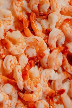 Can Dogs Eat Prawns? Risks & Benefits