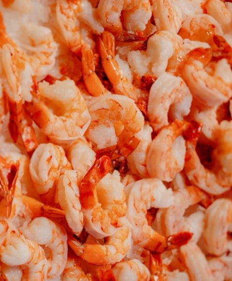 Can Dogs Eat Prawns? Risks & Benefits