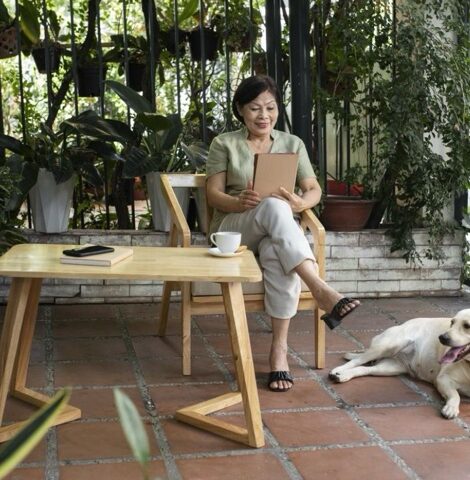 Pet Friendly Artificial Plants for Your Garden That Are Safe for Pets