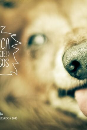 Photography: Chewbacca and Friends by Cuiji Photos