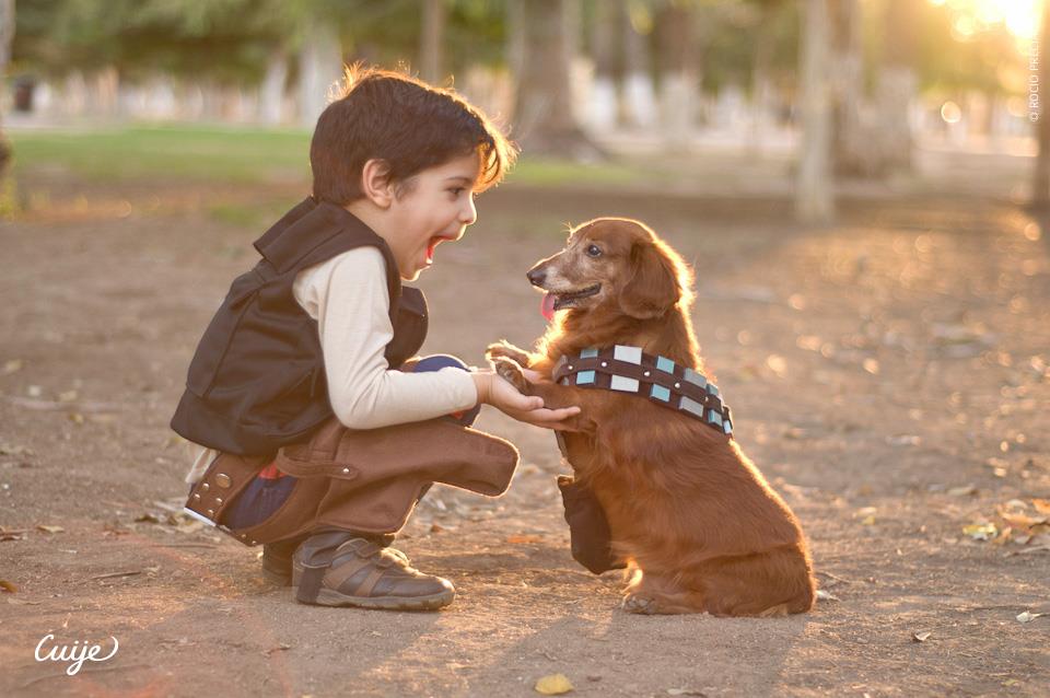 Chewbacca and Friends by Cuije Photos