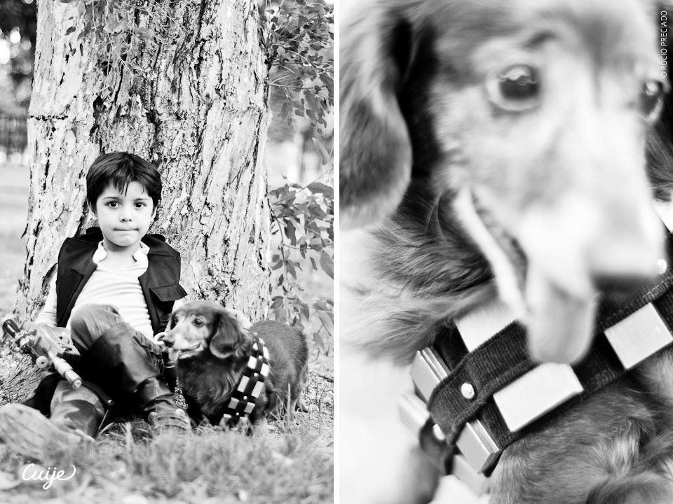 Chewbacca and Friends by Cuije Photos