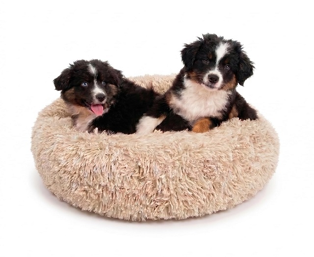Active Pets Premium Donut Dog Bed