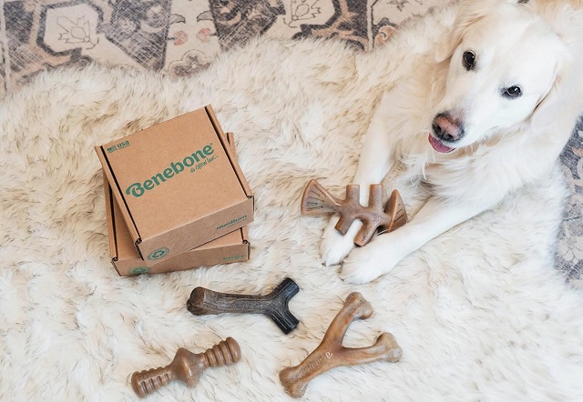 Benebone Dog Toys for Aggressive Chewers