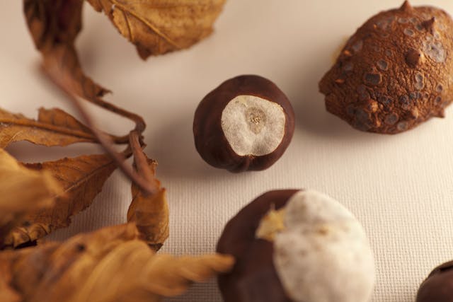 chestnuts