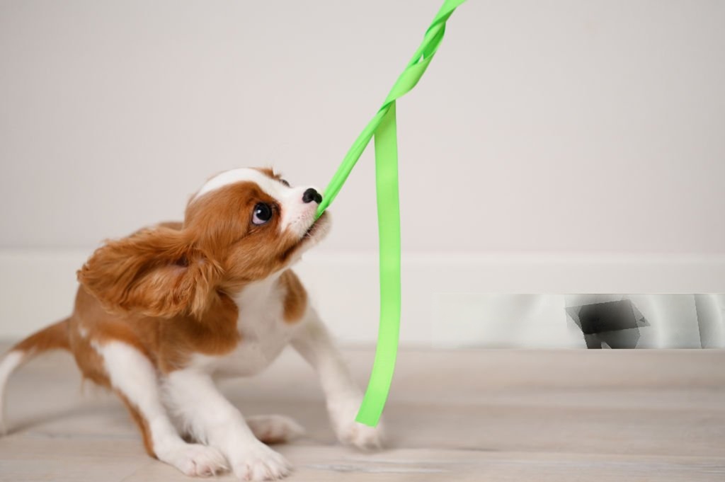 Soft Indoor Tugging Pole