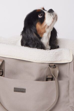 MAXBONE City Carrier Logo-Patch Canvas Pet Carrier