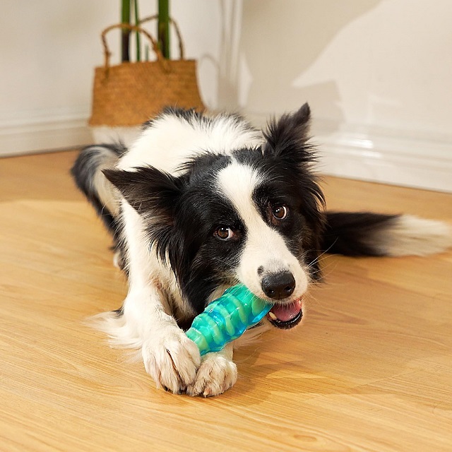 MewaJump Dog Squeaky Chew Toys