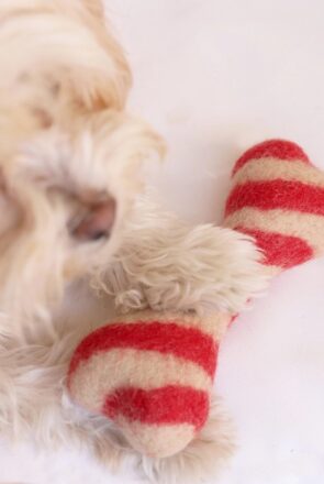 Modern Beast Dog Toys