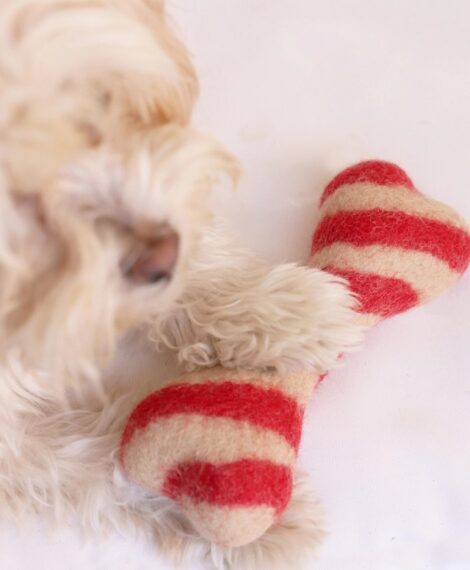 Modern Beast Dog Toys