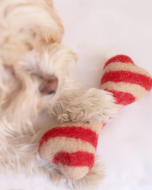 Modern Beast Dog Toys