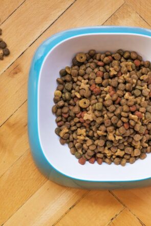 Best Dog Food for Picky Eaters in 2026