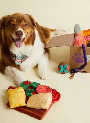PupBox - best dog subscription boxes