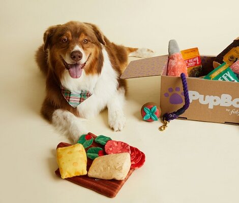 PupBox - best dog subscription boxes