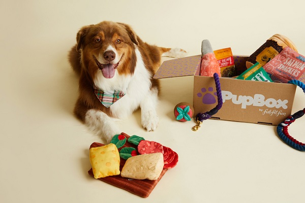 PupBox - best dog subscription boxes
