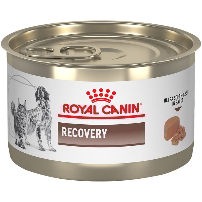 Royal Canin Veterinary Diet Recovery Mousse