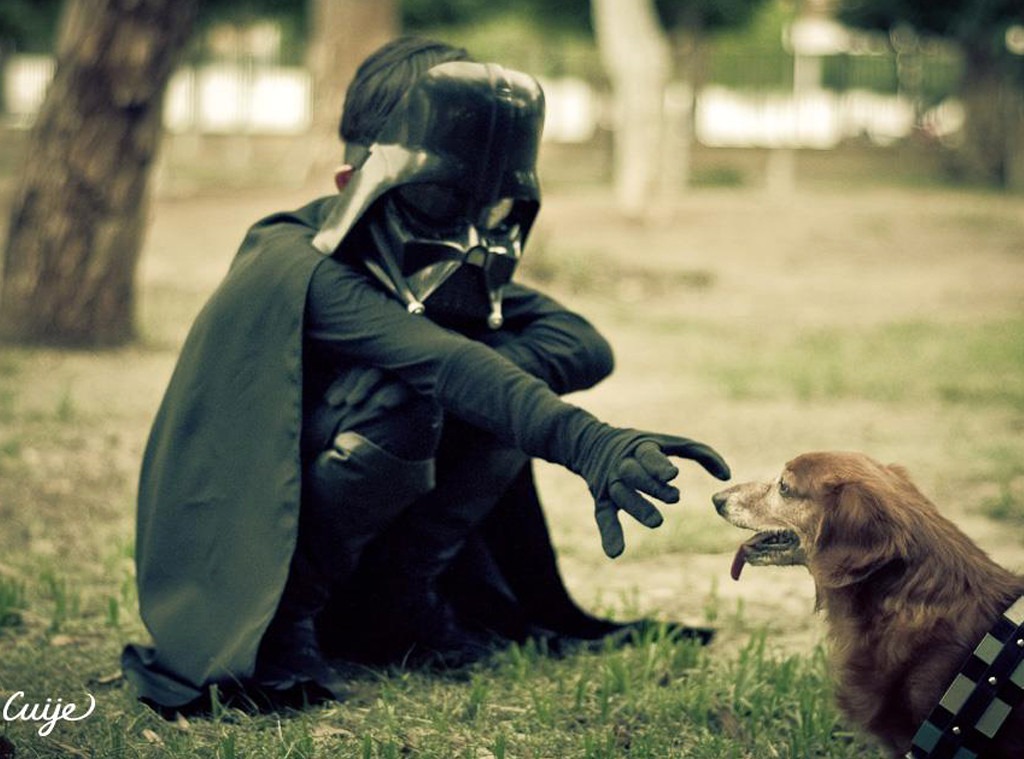 Chewbacca and Friends by Cuije Photos