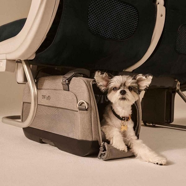 Tavo Carry-On Pet Car Seat