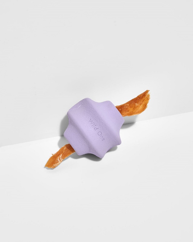 Wild One Twist Toss Dog Toy