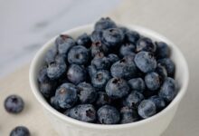 Can Dogs Eat Blueberries?