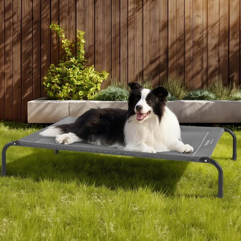Bedsure Outdoor Elevated Dog Bed