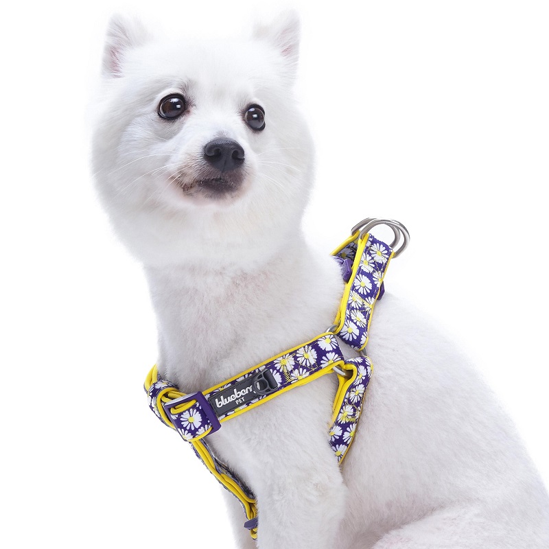 Blueberry Pet Floral Prints Neoprene Step In Back Clip Dog Harness