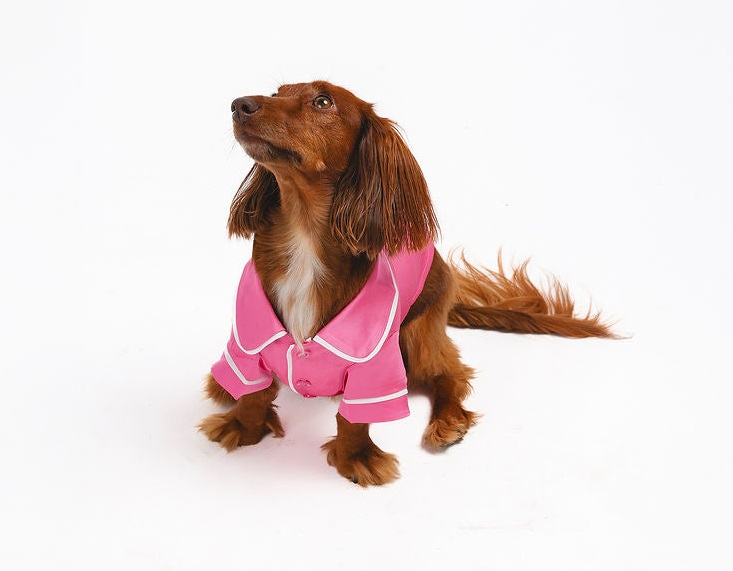 Both Tails Dog Pajamas