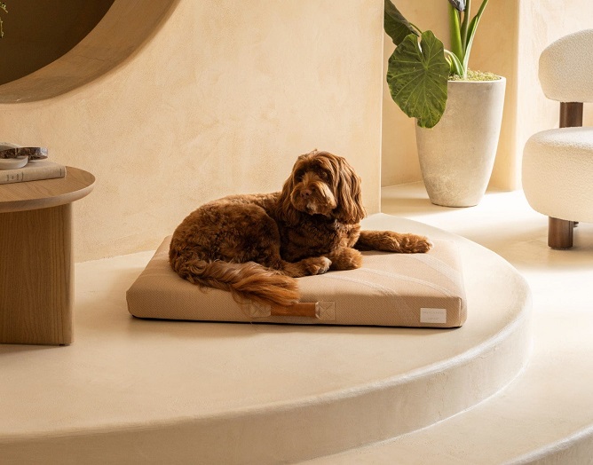 LAY LO Brigette Romanek Dog Bed