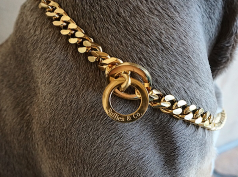 Bullies & Co Gold Cuban Choke Chain
