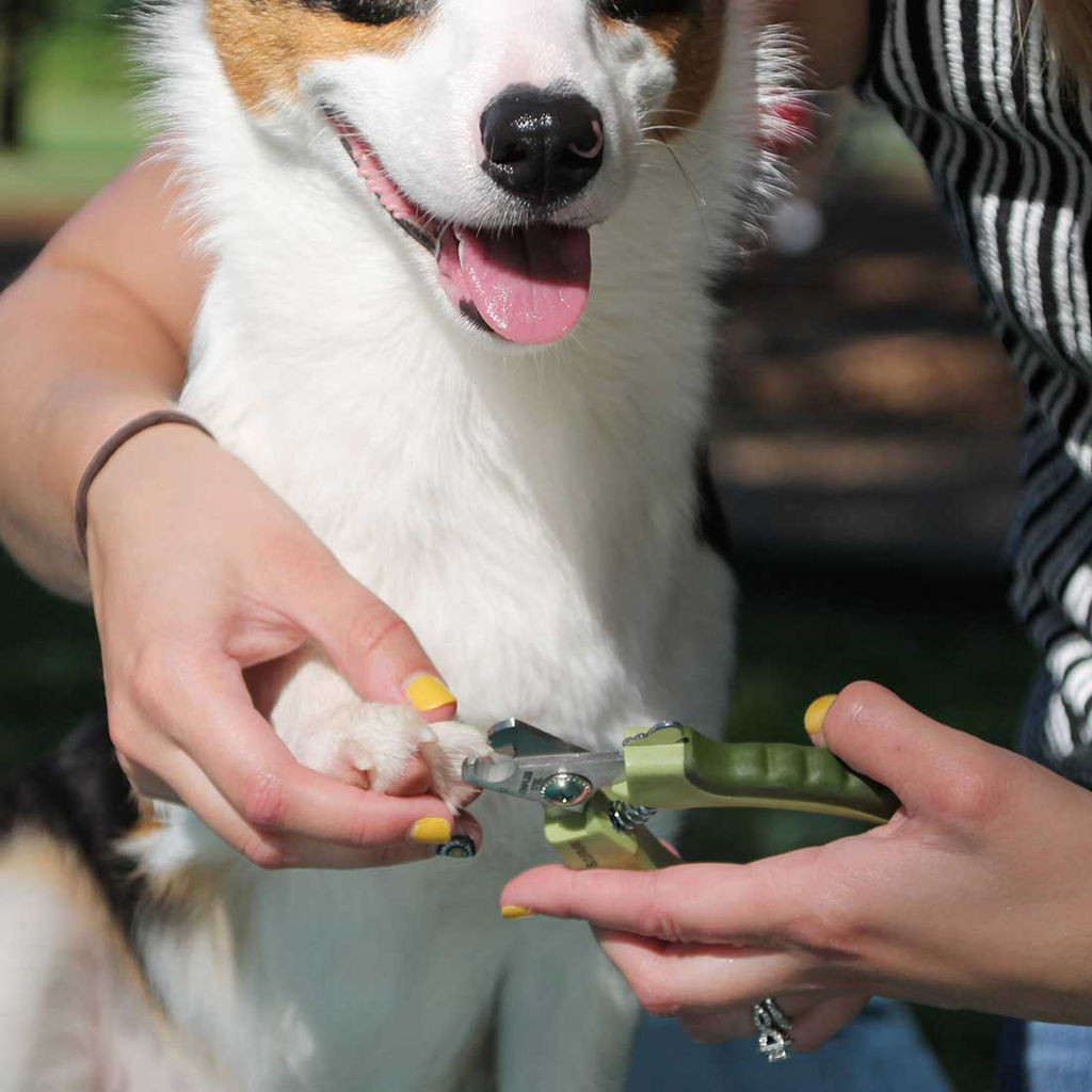 Safari Dog Nail Trimmer