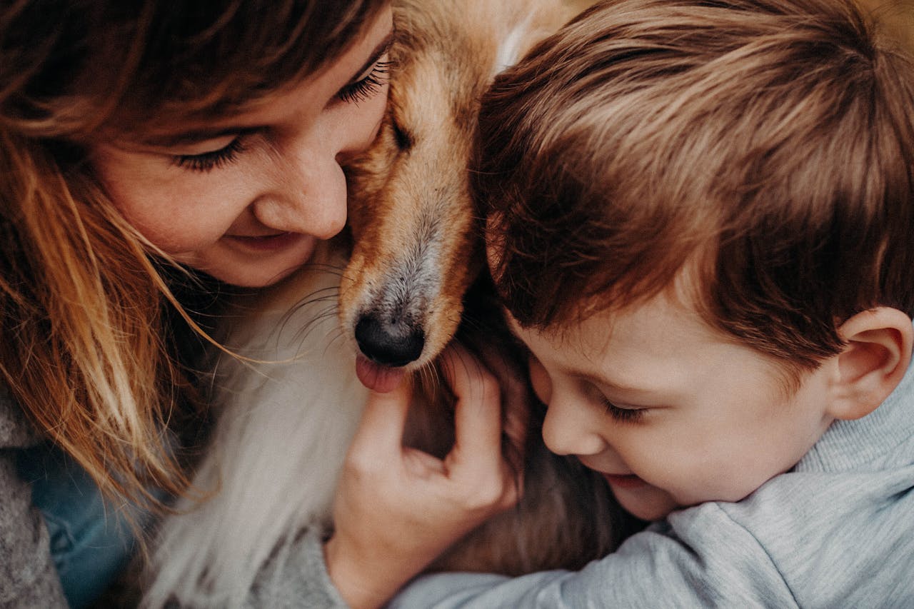 Best Watchful Dog Breed for Kids - collie