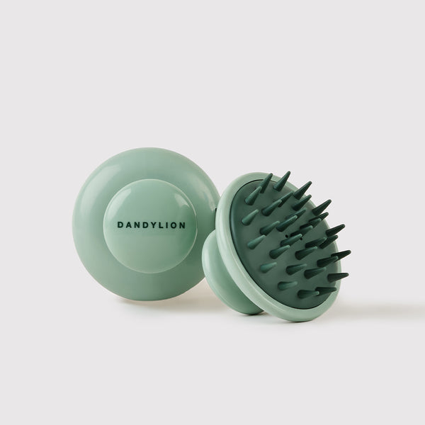 Dandylion Scrub Dog Brush