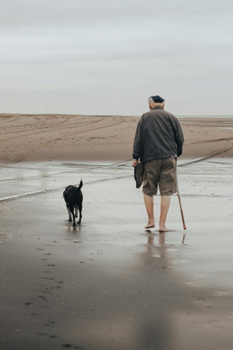 Best Dogs for Seniors: 15 Breeds That Make Loving Companions
