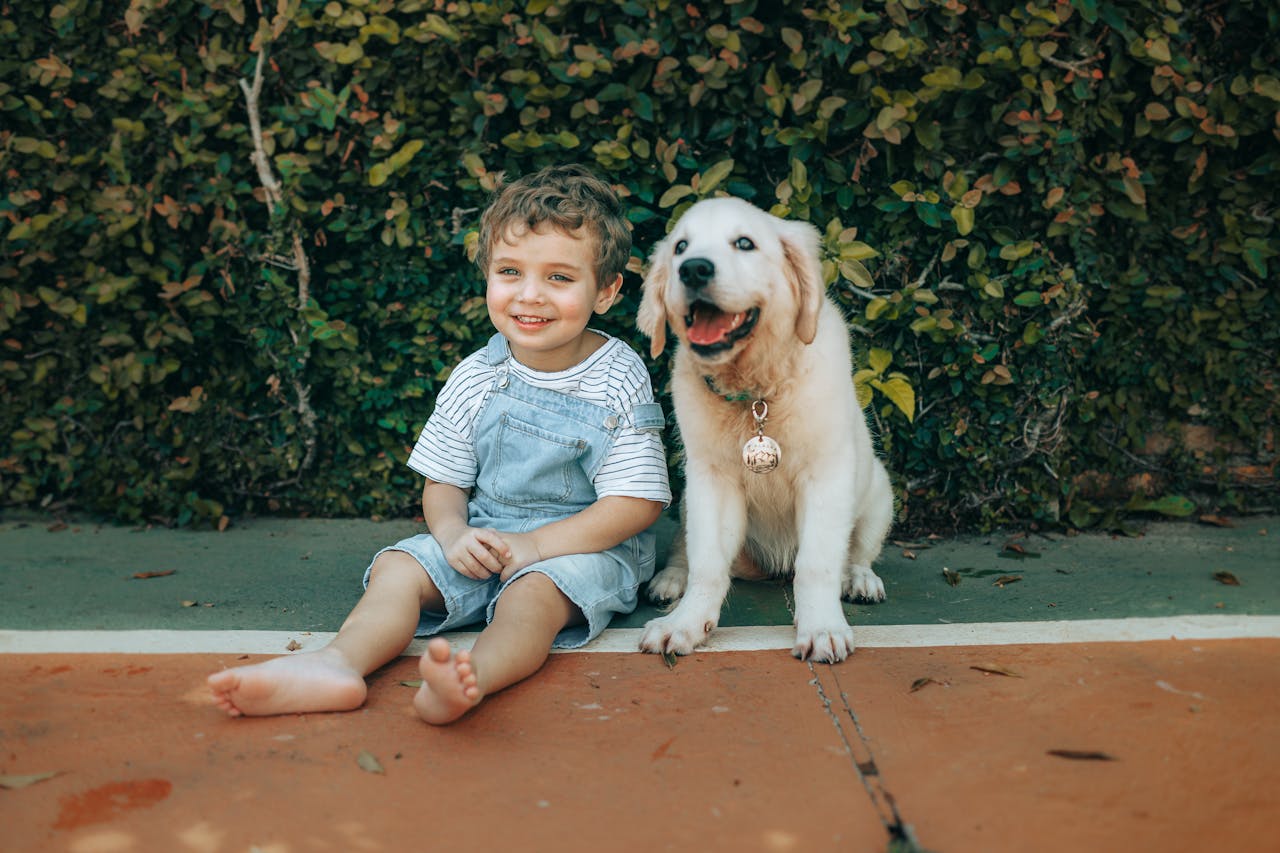 Best Overall Dog Breed for Kids - golden retriever