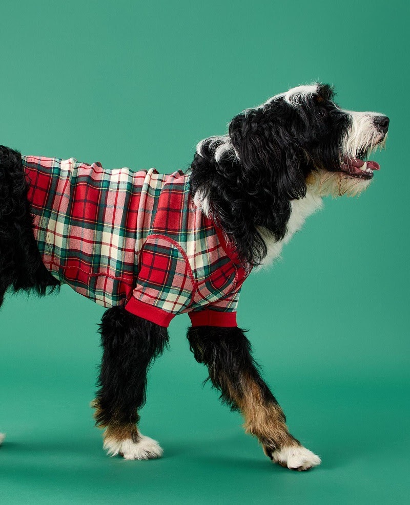 Hanna Andersson Red Holiday Plaid Dog Pajamas