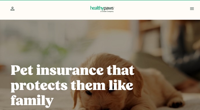 4. Healthy Paws