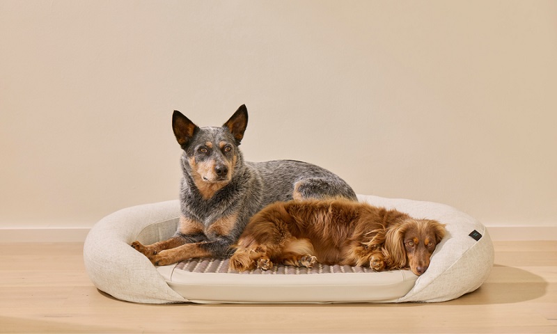 HigherDOSE Infrared PEMF Pet Bed