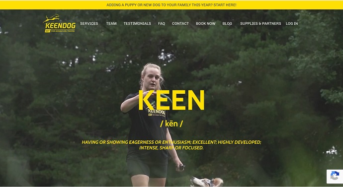 1. KeenDog Training - Best for Dog Training and Behavioral Development