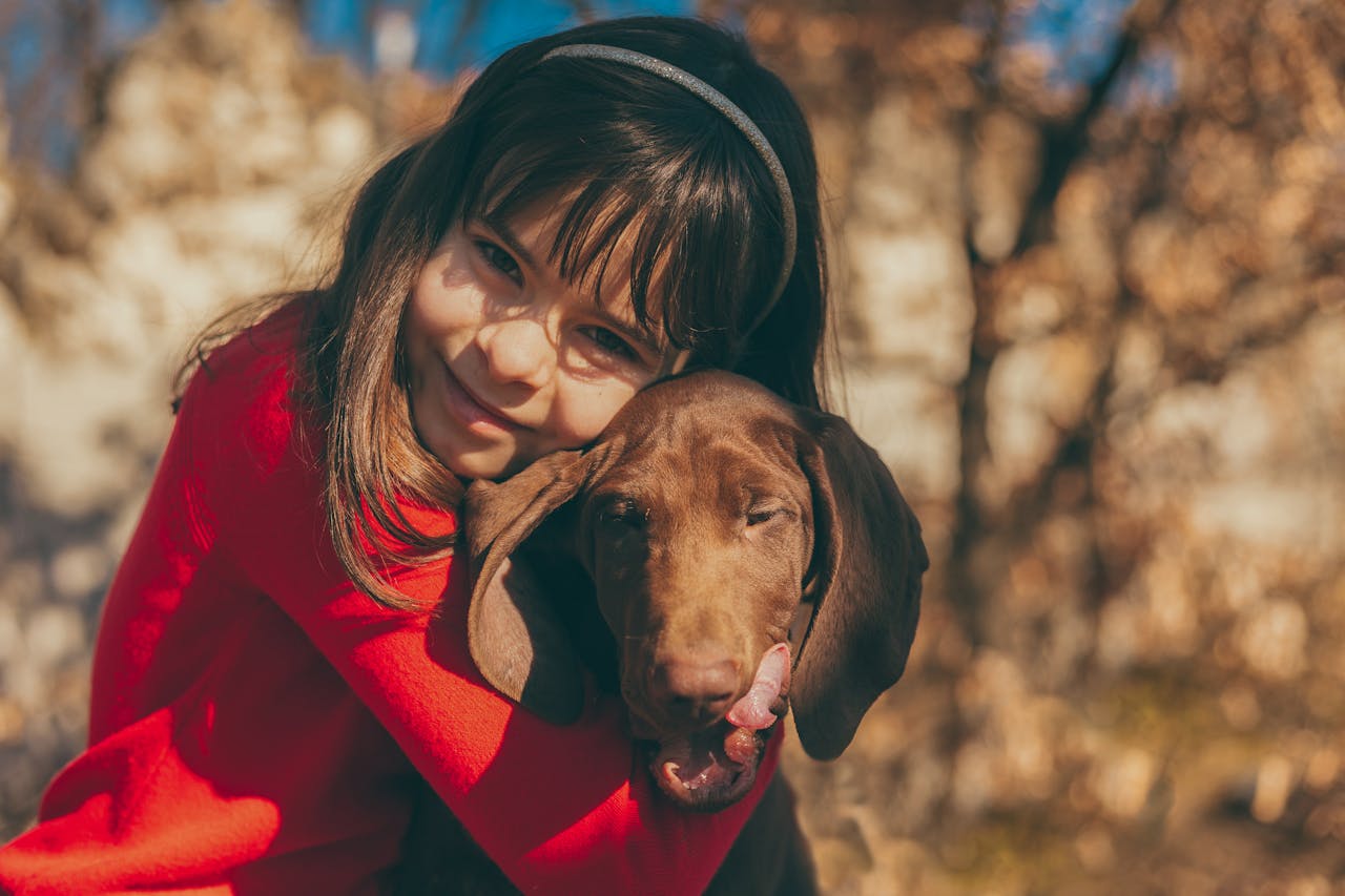 Best Active Dog Breed for Kids - Labrador Retriever