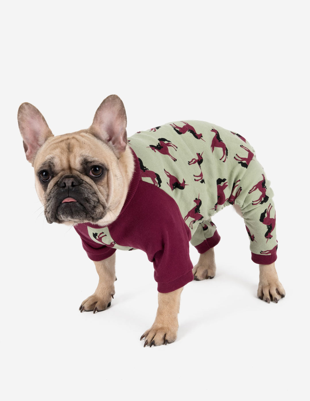 Leveret Dog Cotton Pajama