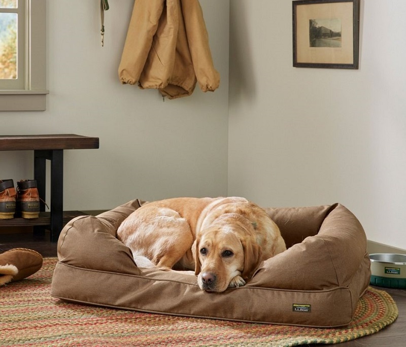 L.L.Bean Premium Therapeutic Dog Bed