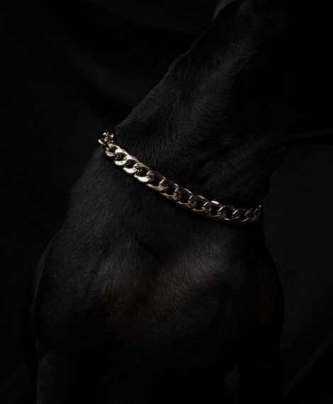 Pawsh Collar Cuban Link Dog Chain Accessory